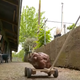 Doug enjoys being pulled along a pathway on the kind of cart needed to manage his tuberous bulk.